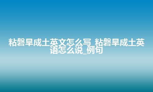 粘磐旱成土英文怎么写_粘磐旱成土英语怎么说_例句