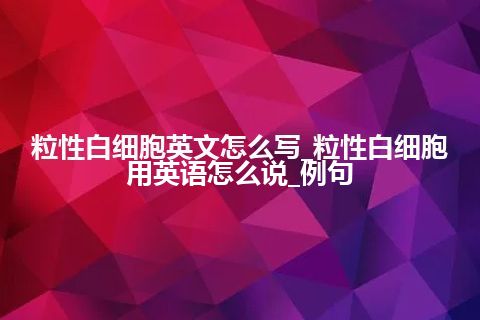 粒性白细胞英文怎么写_粒性白细胞用英语怎么说_例句