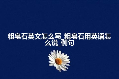 粗皂石英文怎么写_粗皂石用英语怎么说_例句