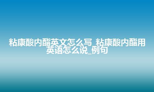 粘康酸内酯英文怎么写_粘康酸内酯用英语怎么说_例句