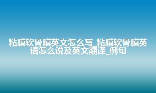 粘膜软骨膜英文怎么写_粘膜软骨膜英语怎么说及英文翻译_例句