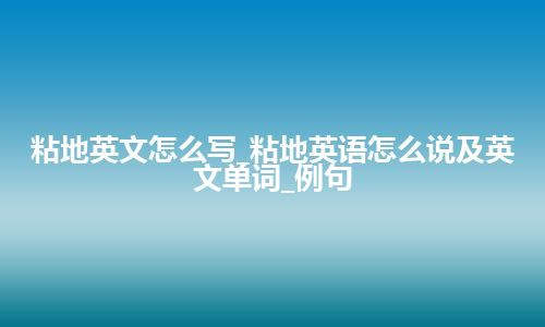 粘地英文怎么写_粘地英语怎么说及英文单词_例句