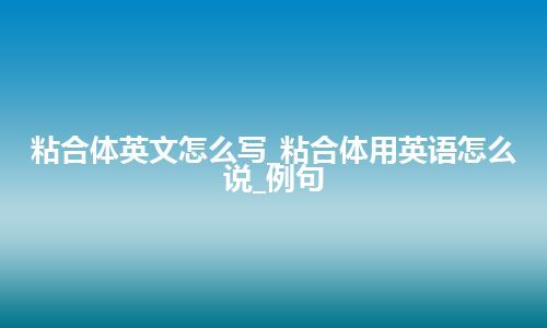 粘合体英文怎么写_粘合体用英语怎么说_例句