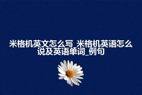 米格机英文怎么写_米格机英语怎么说及英语单词_例句