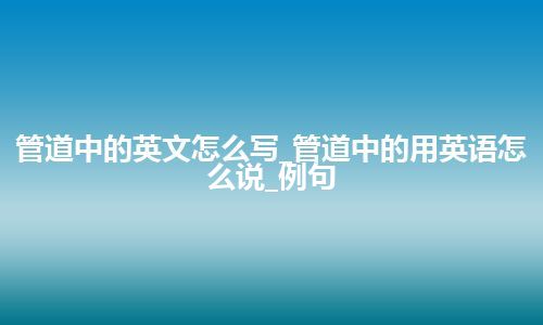 管道中的英文怎么写_管道中的用英语怎么说_例句