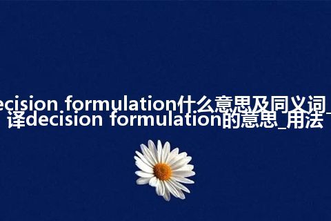 decision formulation什么意思及同义词_翻译decision formulation的意思_用法