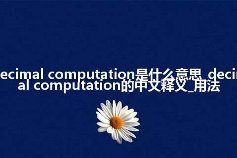 decimal computation是什么意思_decimal computation的中文释义_用法