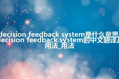 decision feedback system是什么意思_decision feedback system的中文翻译及用法_用法