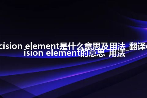 decision element是什么意思及用法_翻译decision element的意思_用法