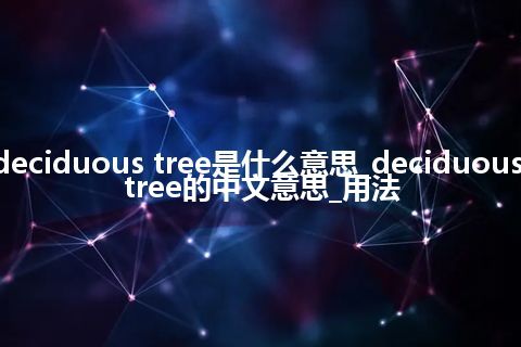 deciduous tree是什么意思_deciduous tree的中文意思_用法