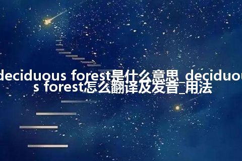 deciduous forest是什么意思_deciduous forest怎么翻译及发音_用法