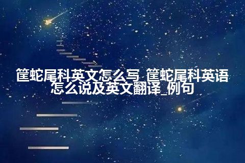 筐蛇尾科英文怎么写_筐蛇尾科英语怎么说及英文翻译_例句