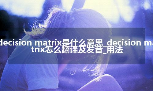 decision matrix是什么意思_decision matrix怎么翻译及发音_用法