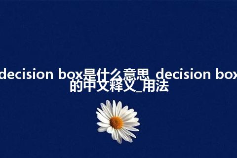 decision box是什么意思_decision box的中文释义_用法