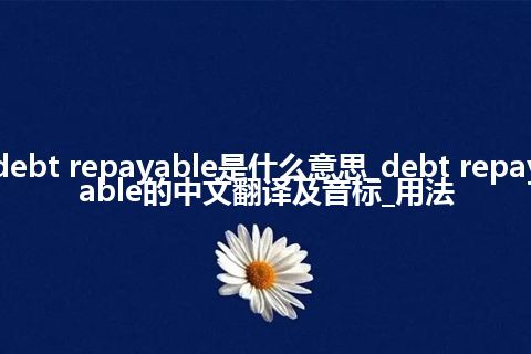 debt repayable是什么意思_debt repayable的中文翻译及音标_用法