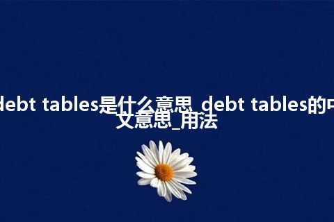 debt tables是什么意思_debt tables的中文意思_用法