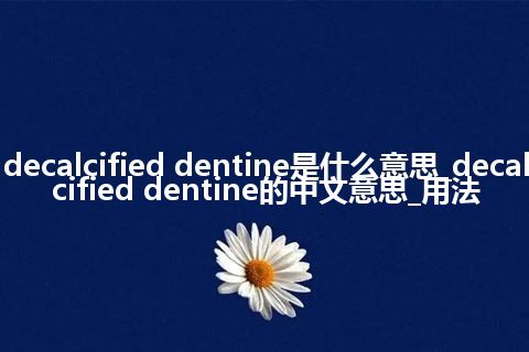 decalcified dentine是什么意思_decalcified dentine的中文意思_用法