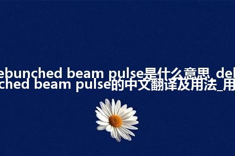 debunched beam pulse是什么意思_debunched beam pulse的中文翻译及用法_用法