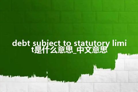 debt subject to statutory limit是什么意思_中文意思