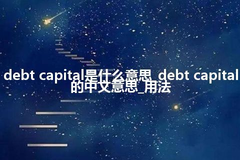 debt capital是什么意思_debt capital的中文意思_用法