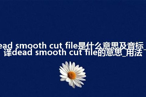 dead smooth cut file是什么意思及音标_翻译dead smooth cut file的意思_用法