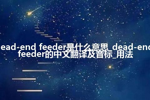 dead-end feeder是什么意思_dead-end feeder的中文翻译及音标_用法