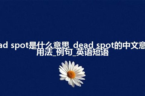 dead spot是什么意思_dead spot的中文意思_用法_例句_英语短语