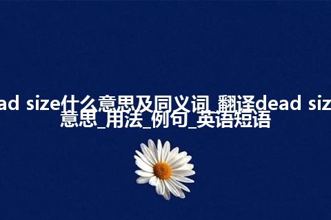 dead size什么意思及同义词_翻译dead size的意思_用法_例句_英语短语