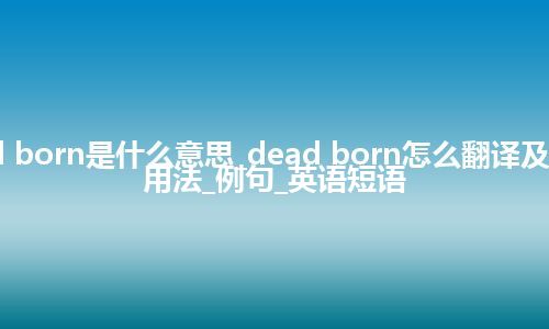 dead born是什么意思_dead born怎么翻译及发音_用法_例句_英语短语