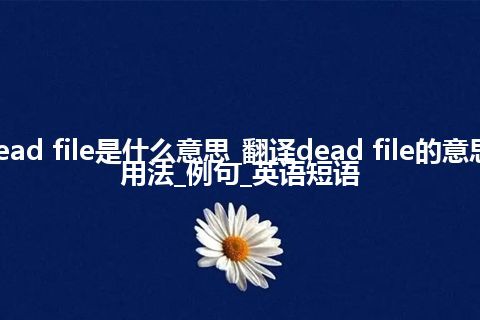 dead file是什么意思_翻译dead file的意思_用法_例句_英语短语