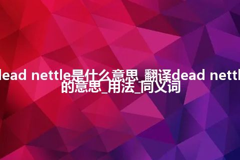 dead nettle是什么意思_翻译dead nettle的意思_用法_同义词