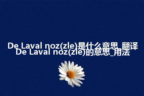 De Laval noz(zle)是什么意思_翻译De Laval noz(zle)的意思_用法