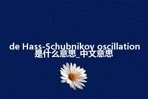 de Hass-Schubnikov oscillation是什么意思_中文意思