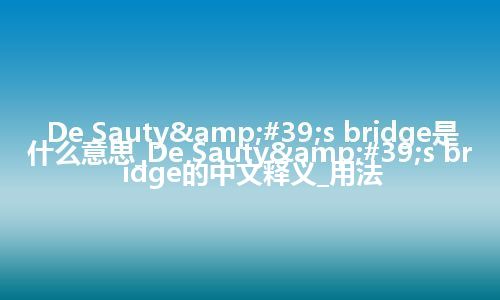 De Sauty's bridge是什么意思_De Sauty's bridge的中文释义_用法