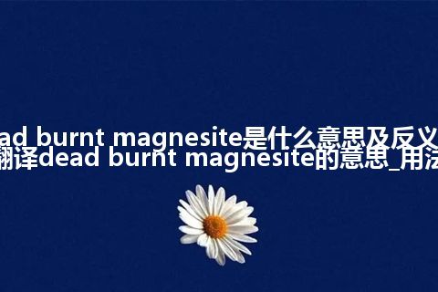 dead burnt magnesite是什么意思及反义词_翻译dead burnt magnesite的意思_用法