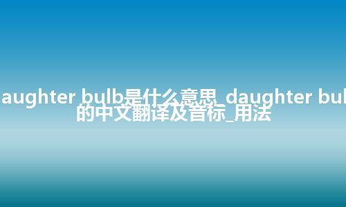 daughter bulb是什么意思_daughter bulb的中文翻译及音标_用法