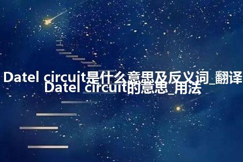 Datel circuit是什么意思及反义词_翻译Datel circuit的意思_用法