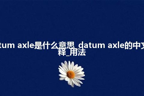 datum axle是什么意思_datum axle的中文解释_用法