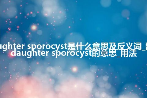 daughter sporocyst是什么意思及反义词_翻译daughter sporocyst的意思_用法