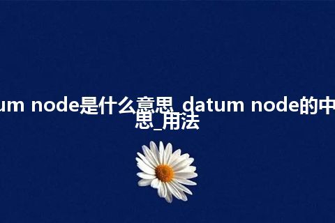 datum node是什么意思_datum node的中文意思_用法