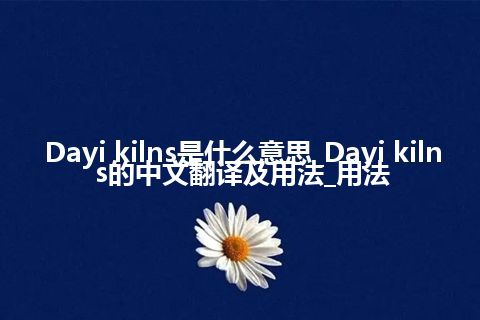 Dayi kilns是什么意思_Dayi kilns的中文翻译及用法_用法