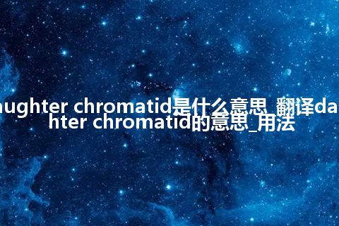 daughter chromatid是什么意思_翻译daughter chromatid的意思_用法