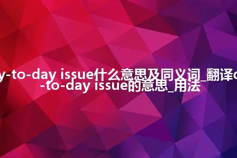 day-to-day issue什么意思及同义词_翻译day-to-day issue的意思_用法