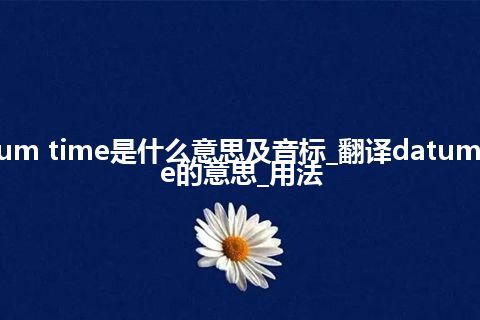 datum time是什么意思及音标_翻译datum time的意思_用法