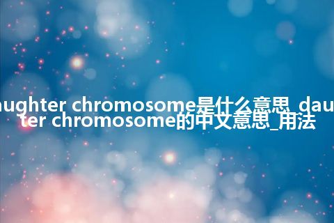 daughter chromosome是什么意思_daughter chromosome的中文意思_用法