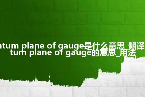 datum plane of gauge是什么意思_翻译datum plane of gauge的意思_用法