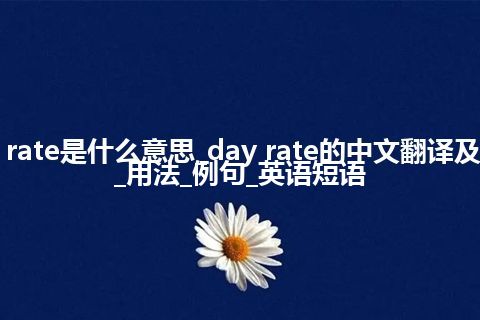 day rate是什么意思_day rate的中文翻译及音标_用法_例句_英语短语