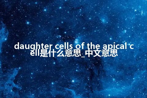 daughter cells of the apical cell是什么意思_中文意思