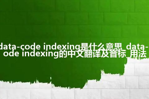 data-code indexing是什么意思_data-code indexing的中文翻译及音标_用法