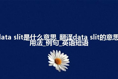 data slit是什么意思_翻译data slit的意思_用法_例句_英语短语